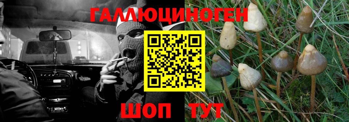 Галлюциногенные грибы мухоморы  Вход с VPN  Нижний Тагил 